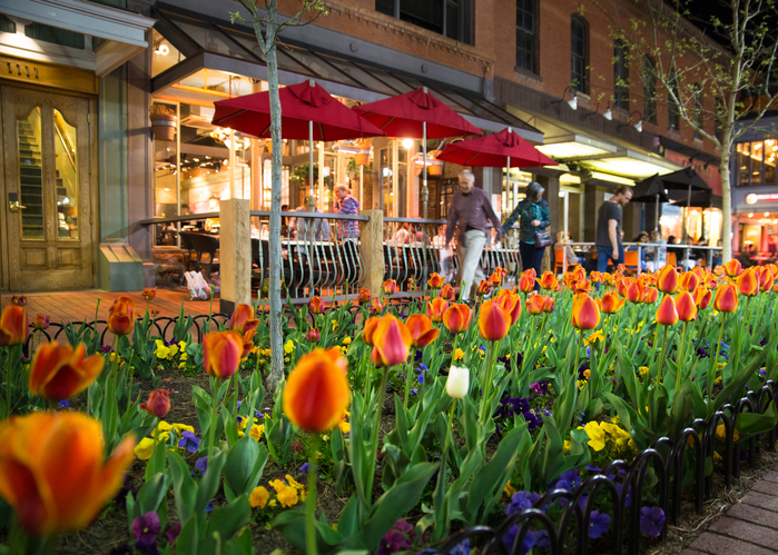 Boulder, Colorado, USA - April 27, 2018:  Night scene along popular Pearl Street Mall with people, tulips  and lights in downtown Boulder Colorado
